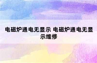 电磁炉通电无显示 电磁炉通电无显示维修